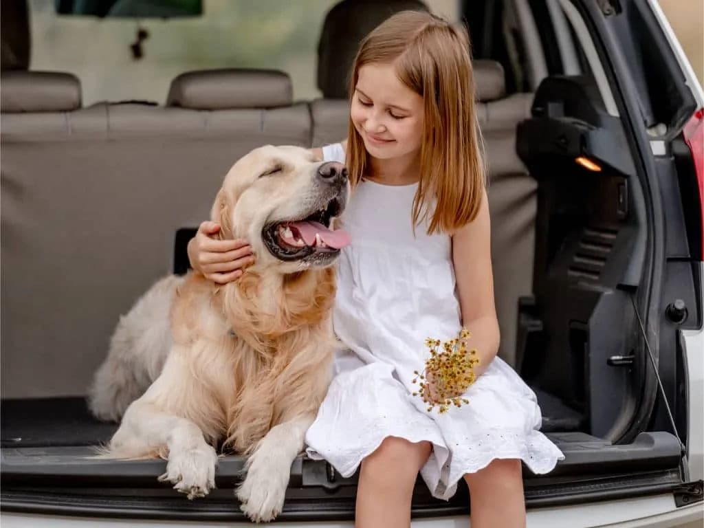 5 רכבים עם תא מטען ענק